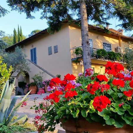 Bed and Breakfast Ulivi Di Castello Флоренція Екстер'єр фото